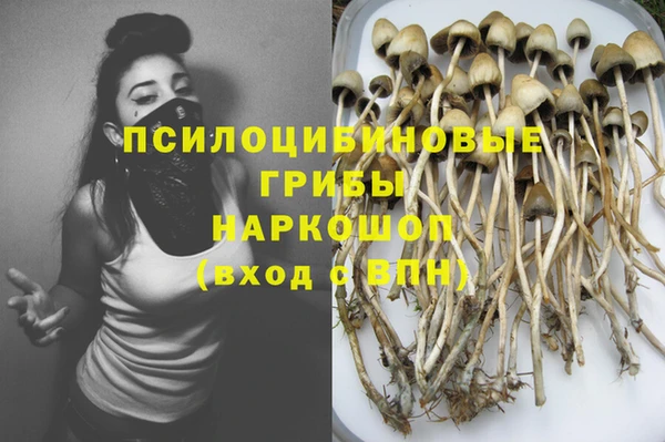 шишки Тавда
