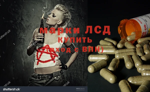 mdpv Богданович