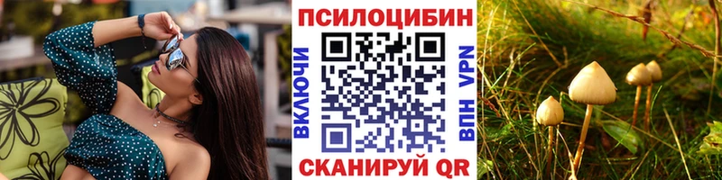 Псилоцибиновые грибы Psilocybine cubensis  Инта 